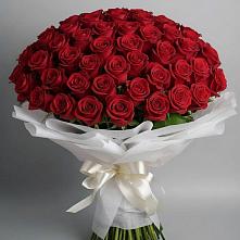 Букет 101 Красная роза Блэк Мэджик в Первомайском Кировской области