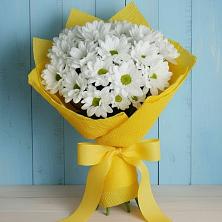 Букет цветов из:  Хризантемы в Первомайском Кировской области