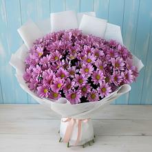 Букет цветов из:  Хризантемы в Первомайском Кировской области