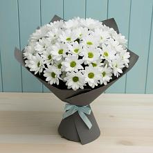 Букет цветов из:  Хризантемы в Первомайском Кировской области