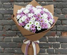 Букет цветов из:  Хризантемы #REPLACE_PRED# Первомайском Кировской области