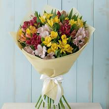 Букет цветов из:  Альстромерии в Первомайском Кировской области