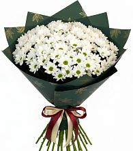 Букет цветов из:  Хризантемы в Первомайском Кировской области