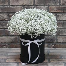 Цветочная композиция из Гипсофила в шляпной коробке в Первомайском Кировской области