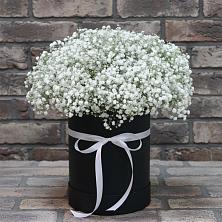 Цветочная композиция из Гипсофила в шляпной коробке в Первомайском Кировской области