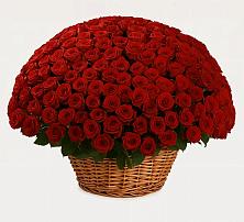 Премиум букет из: Розы в Первомайском Кировской области