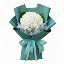 Букет цветов из:  Гортензия в Первомайском Кировской области